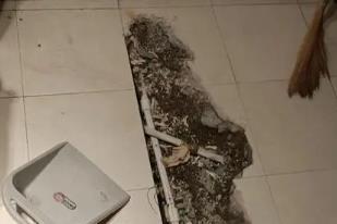 新巴尔虎右卫生间漏水检测电话